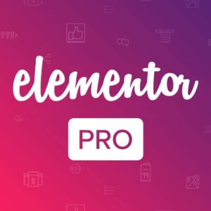 Elementor Pro 3.16.5 WordPress Plugin